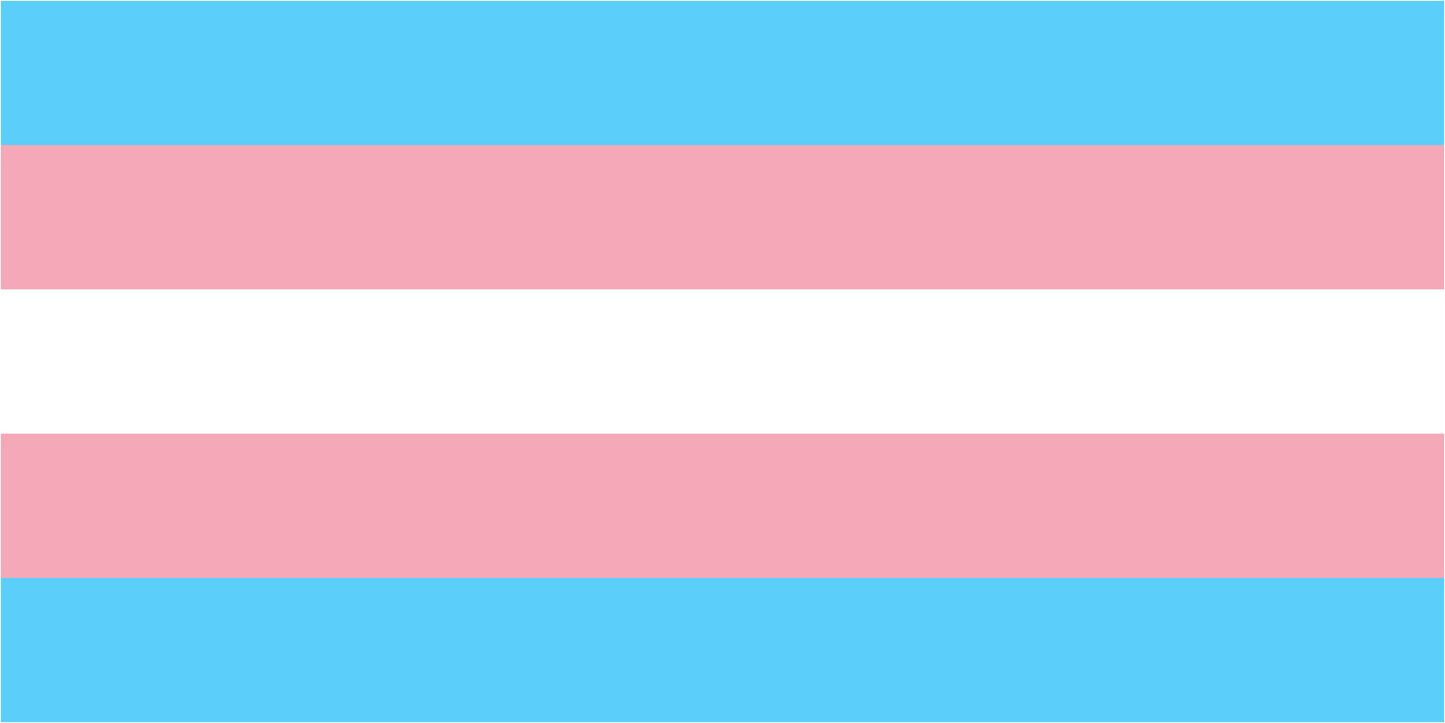Jumbo Transgender Pride Frog