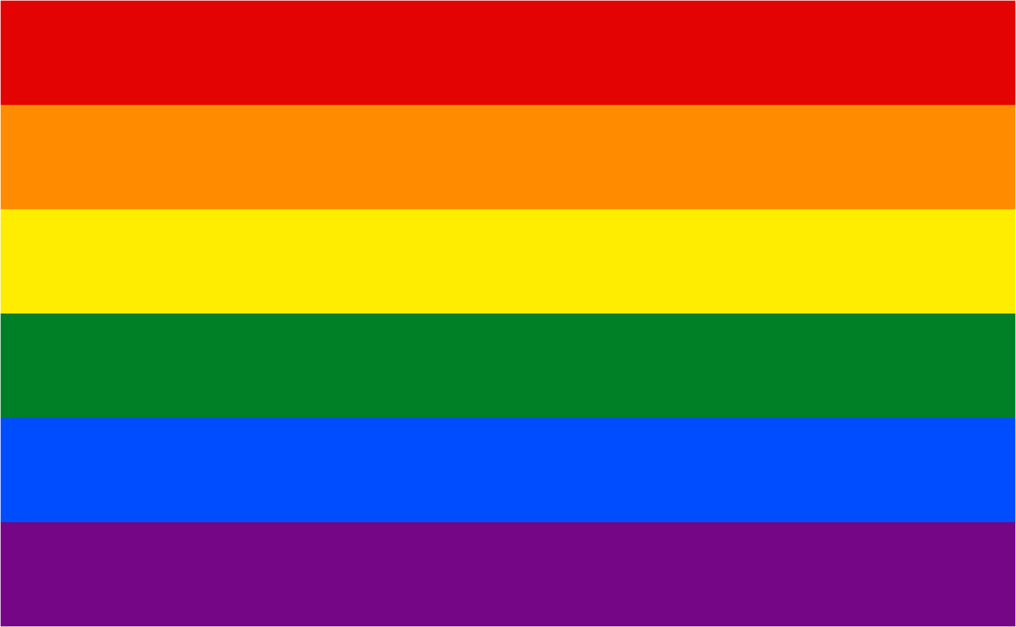Jumbo LGBT+ Pride Frog